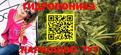 крисы Обнинск